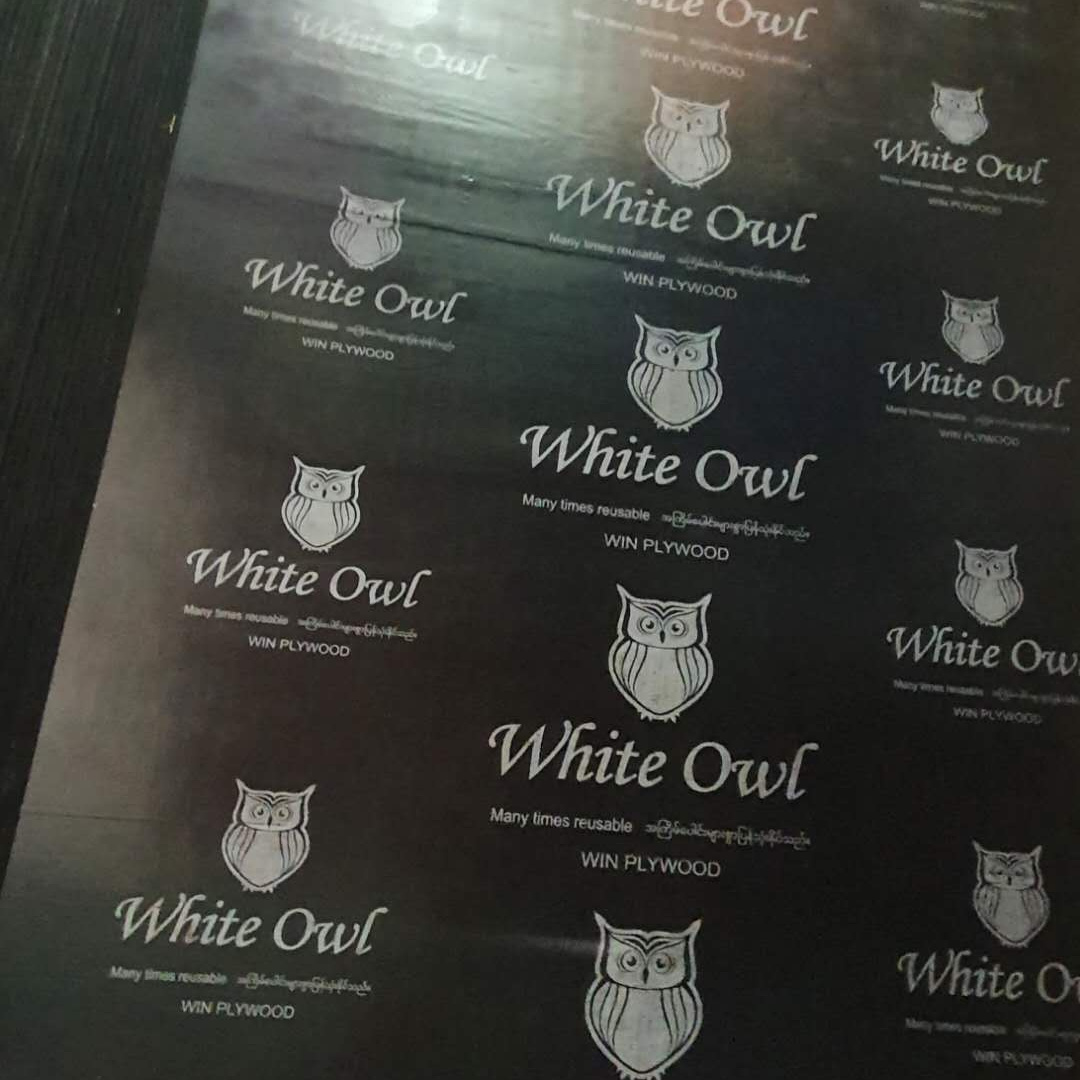 White Owl Film-faced Plywood